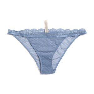 Free People Midweek Bikini Cut Panties Misty Blue Size XL NWT